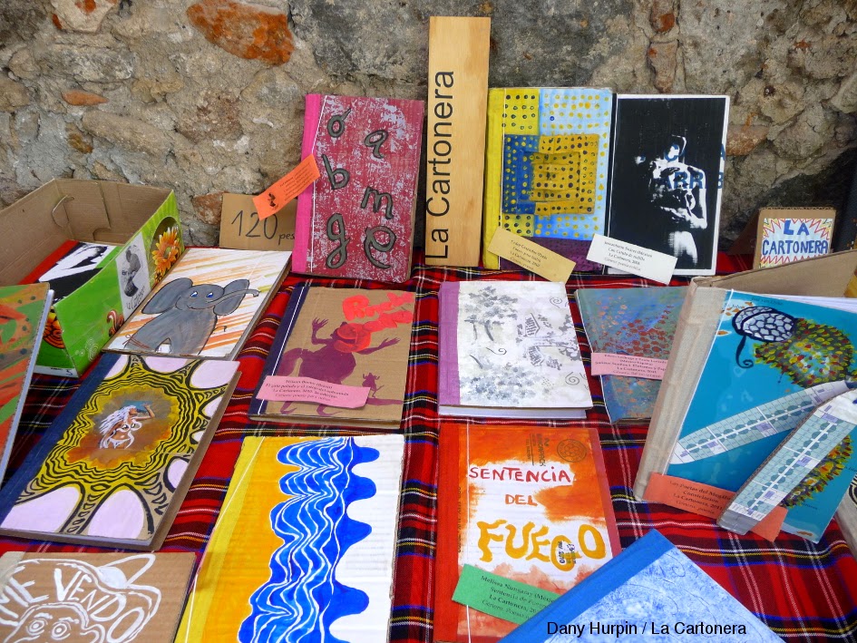 libri cartoneri