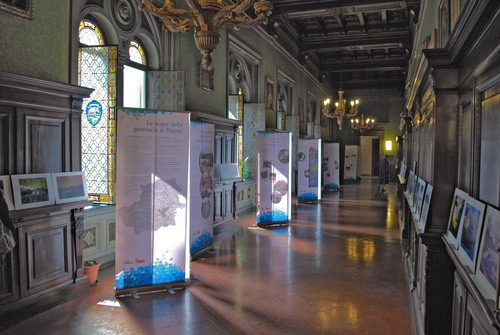 Mostra Acque Chiare