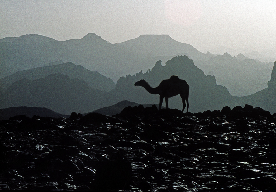 fotografia della mostra