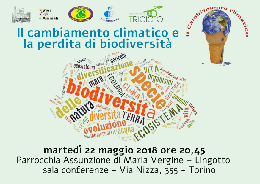 cartolina promozionale dell'evento con la grafica di una nuvola di parole relative all'argomento cartolina promozionale