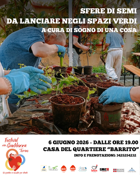 Sfere di semi di Il sogno di una cosa Sfere di semi di Il sogno di una cosa