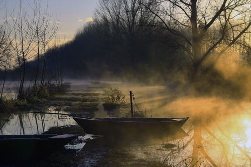 Roberto Creati - Alba in palude Fotografia che ha vinto il primo premio della sezione 2 "Acqua e natura" - Roberto Creati "Alba in palude"