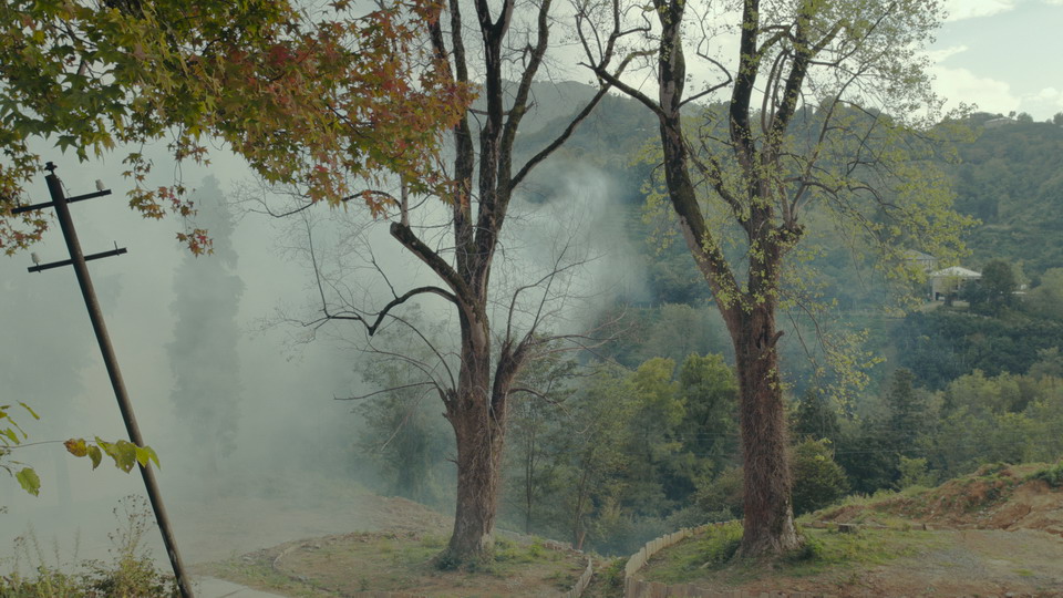 una immagine dal film