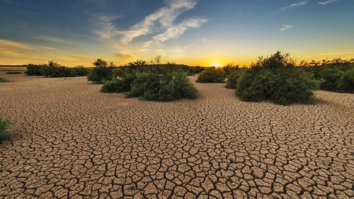 Desertificazione