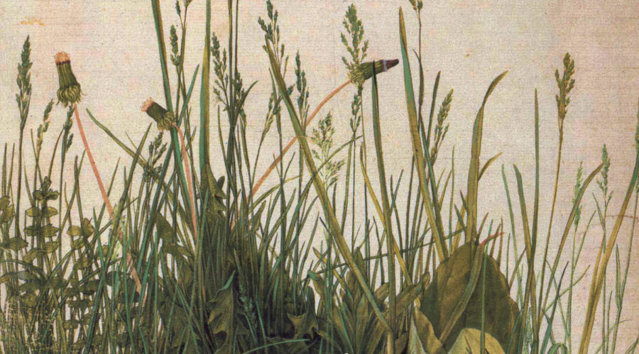 Particolare della copertina