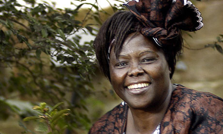 fotografia di Wangari Maathai wangari maathai